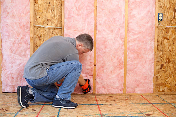 Best Soundproof Insulation  in Needville, TX